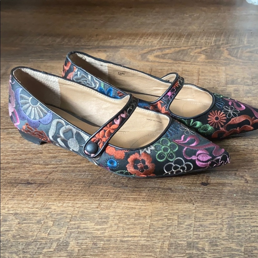 (CLOSET CLOSING FINAL SALE) Pointy Toe Floral Embroidered Chic Mary Janes